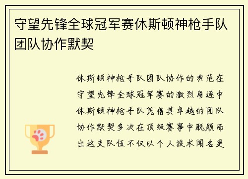 守望先锋全球冠军赛休斯顿神枪手队团队协作默契