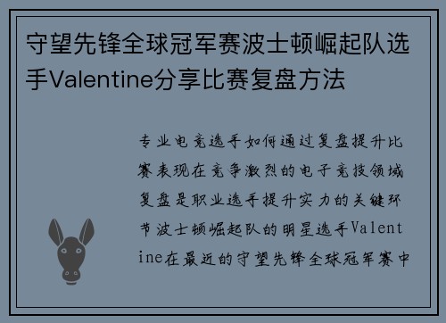 守望先锋全球冠军赛波士顿崛起队选手Valentine分享比赛复盘方法